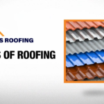 DSS Roofing