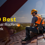 Professional Roofers