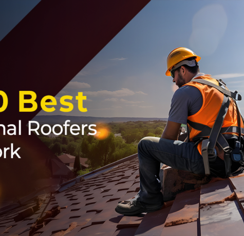 Professional Roofers