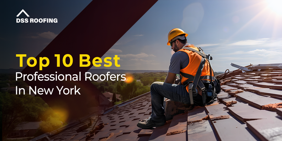 Professional Roofers