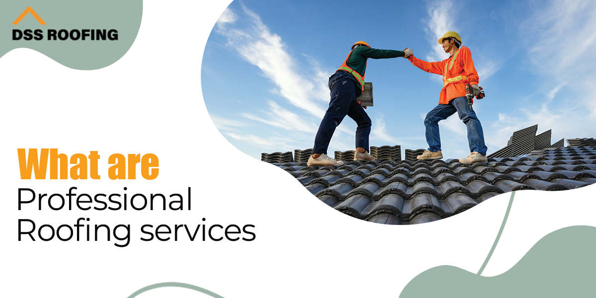 professional roofing service